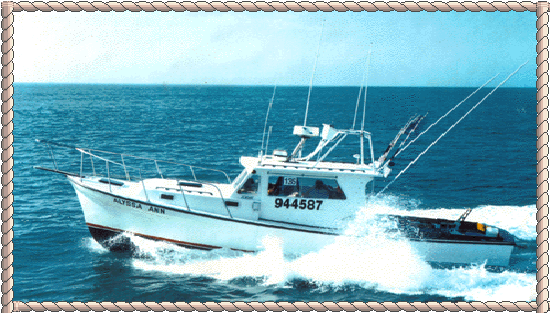 Montauk Fishing Charter Boat - Alyssa Ann
